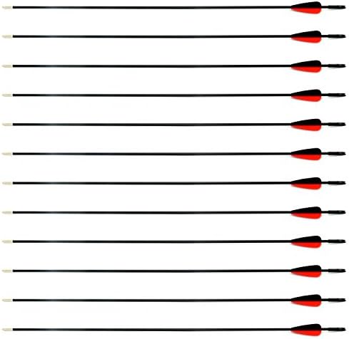 Wolf Soldier 12Pcs Fiberglass Arrow 30" Inch Archery Hunting Archery Target Arrows Steel Point 28-35lbs For Recuve &amp; Compound Bow Recurve Bow Practice Arrows