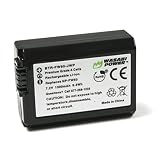 Wasabi Power Battery for Sony NP-FW50 (Compatible with Alpha a7, a7 II, a7R, a7R II, a7S, a7S II, a5000, a5100, a6000, a6300, a6500, NEX-5T, Cyber-Shot DSC-RX10 III and More)