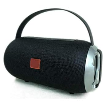 big wireless speaker