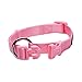Blueberry Pet 4 Colors Better Basic Dog Collar, Rosy Pink, X-Small, Neck 7.5
