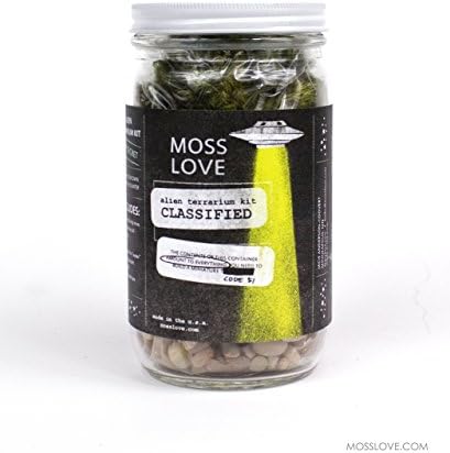 * Alien * DIY Moss Terrarium Kit - popular unique fun gift or project! Reg $42