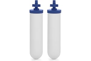 FACHIOO 7" Ceramic Fluoride and Arsenic Reduction Elements, Replacement for Berkey® BB9-2® Black Filters & PF-2® Fluoride Filters, ProOne® G2.0 Filters, Berkey® Gravity Water Filter System, Pack of 2