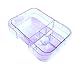 Smartbentobox Leakproof Bento Lunch Box with 4 Storage Compartments, Retro Green