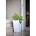 Algreen 11404 Modena Self-Watering Planters, 11 in x 21.7 in, White