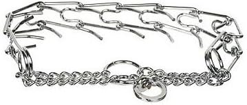 prong dog collar petco