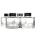 Frandy House Reed Diffuser Bottles in Fashion Style Big Mouth Neck with Silver Caps Set of 4-2.9