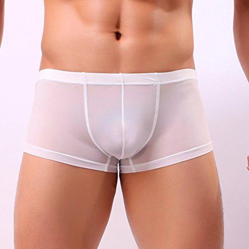 Men Transparent Underwear Boxer ,Vanvler Sexy Male Briefs Shorts Bulge Pouch Underpants (White, M)