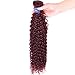Red Wine Color Malaysian Deep Curl Hair 3 Bundles #99J Malaysian Kinky Curly Hair 100% Ombre Human Hair Extensions (16 18 20 inch, #99J)