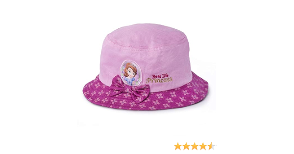 Amazon.com: Disney Princess Sofia The 