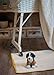 DEMDACO Bernese Mountain Dog Children's Plush Beanbag Stuffed Animal Toy