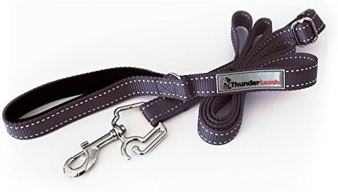 thunder leash harness