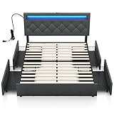 Rolanstar Queen Size Bed Frame with LED Lights and