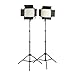 Fovitec  StudioPRO - 2x Daylight 1200 LED Panel Bundle w/ Barndoors & Stands - [Continuous][Adjustable Lighting][V-Lock Compatible]