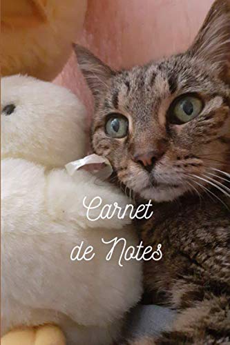 Carnet De Notes Ligne Sans Marge Chat Tigre Et Sa Peluche Pour Les Amoureux Des Chats Nature Animal Domestique Amities Notebook Format A5 100 Pages Idee Cadeau French Edition Editions Les Chats Mysterieux Amazon Com Books