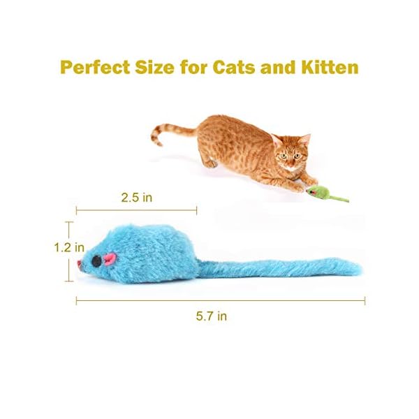 toy size cats