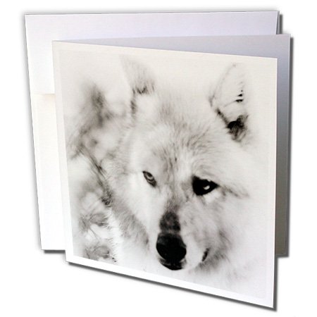 Wolf Spirit A photo art of a wolf with special effects - Greeting Cards, 6 x 6 inches, set of 6 (gc_127794_1)