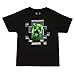 Jinx Official Licensed Minecraft Creeper Inside Boys T-shirt Black X-Small