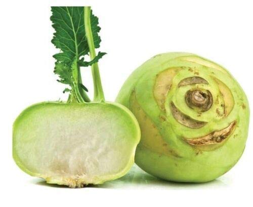 300 Seeds Early White Vienna Kohlrabi Creamy White Tender & Mild Heirloom Fresh GLG-121