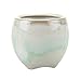 T4U 2 Inch Small Ceramic Succulent Planter Pots with Drainage Hole Set of 6, Mini Pots for Succulent Cactus Porcelain Sagging Glazed Handicraft Gift Best for Home Office Table Desk Decoration