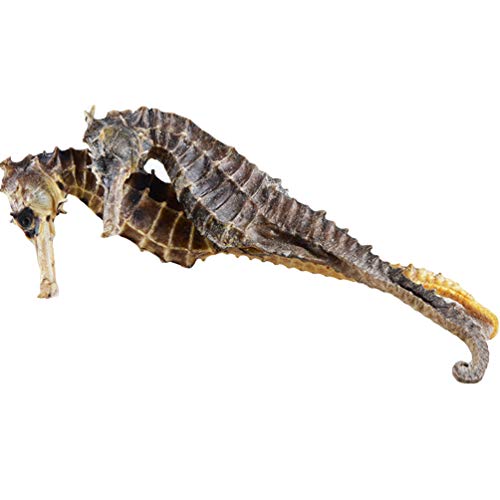 OUYANGHENGZHI Chinese Soup Materials Dried Sea Horse Small Haima å°æµ·é©¬å¹² 1 Pair
