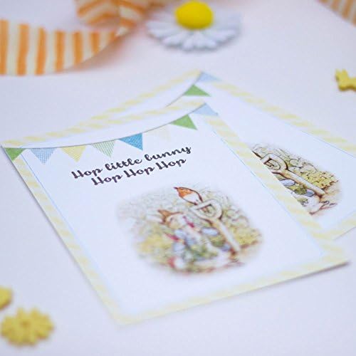 Peter Rabbit Invites with Bunting design and envelopes Set of 6 Party Christening