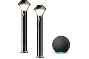 Ring Smart Lighting – Pathlight, Battery-Powered, Outdoor Motion-Sensor Security Light, Black (2-pack) + Echo (4th Gen)