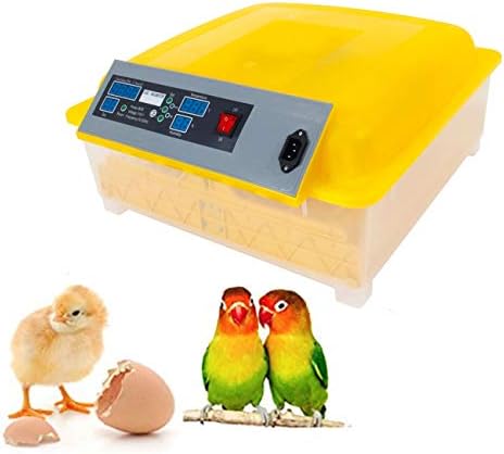 Acazon 48 Egg Incubator Digital Hatcher Digital Automatic Incubator Turning Temperature Control, Auto-Turning Egg Incubator Poultry Hatcher for Chickens Ducks Goose Birds (US Stock) (48eggs)