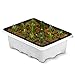 LITCHI Seedling Starter Trays Plant Germination Kit,144 Cells, Plus 10 Plant Tags(12 Trays,12 Cells Per Tray)