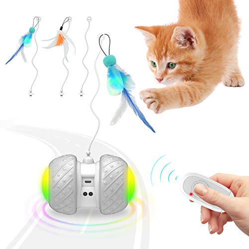 LIDLOK Interactive Cat Toys for Indoor Cats, Remote Control USB
