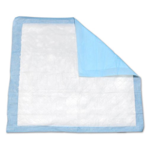 NorthShore Economy Blue Disposable Underpads (Chux) New eBay