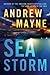 Sea Storm: A Thriller 