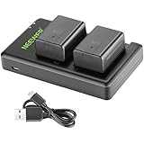 Neewer VW-VBT190 Battery (2-Pack/1950mAh) and Dual USB Charger Kit Compatible with Panasonic HC-V110 V130 V160 V180 HC-V201 V210 V250 HC-V380 HC-V510 V520 V550 HC-V710 V720 V750 V770 HC-VX870