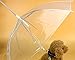 Moore Transparent Umbrella with Built-in Leash Pet Dog Puppy Dry Comfortable in Rain