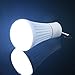 Yaping Outdoor and Indoor Portable LED Tent Light Lamp Lantern for Hiking,Camping,Emergencies,Home (White Pack of 2)