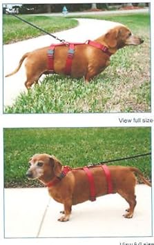 Weenie dog harness Clearance