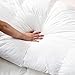 Luxurious 800 Thread Count Hungarian Goose Down Comforter Duvet Insert - Full/Queen Size, 750 Fill Power, 50 oz Fill Weight, 100% Egyptian Cotton Cover