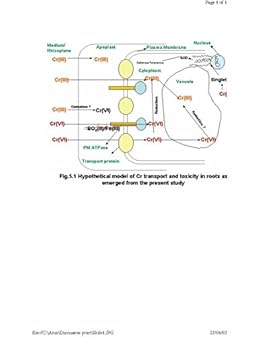 kira muratova the filmmakers companion