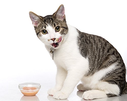 Delectables Chowder Lickable Wet Cat Treats - Chicken & Tuna - 12 Pack