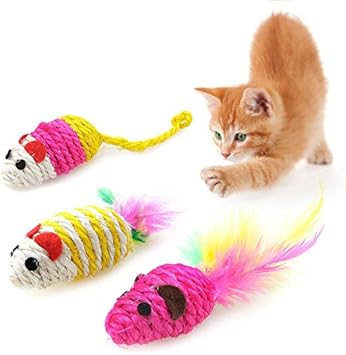pet supplies for cats