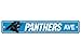 Fremont Die NFL Carolina Panthers Team Sign, 4