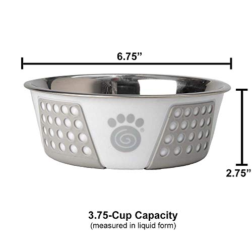 PetRageous 13095 Fiji Stainless Steel NonSlip Dishwasher Safe Dog Bowl