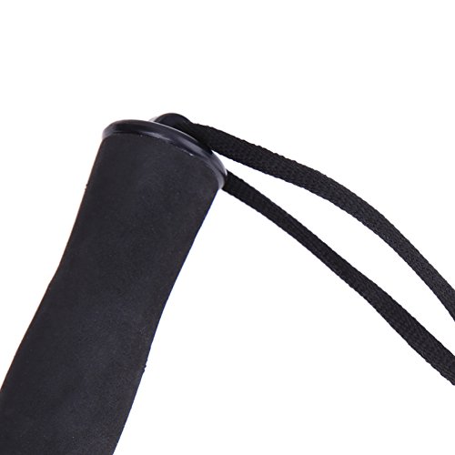 Smartcoco Dopromal Telescopic Stainless Steel Fish Gaff Fishing Spear Hook Telescope Saltwater Boat Hand Gaff