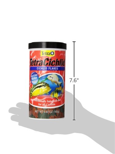 Tetra Tetra Cichlid Large Flake Food 5.65oz