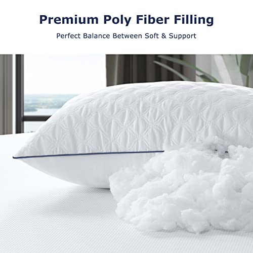 BedStory 2 Pack Standard Size Hotel Collection Pillows, Hypoallergenic