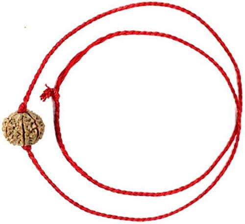 Shivoham 5 Mukhi Rudraksha with Cotton Dori (Brown)
