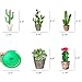Cactus Hanging Ceiling Swirl Decoration(30Pcs Fully-Assembled),Fiesta Party Supplies Cactus Swirls Birthday Party Decorations,Mexican Fiesta Ceiling Decor,Birthday Baby Shower Favor Supplies Decor