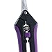 Apollo Horticulture Precision Curved Blade Pruner Shears for Gardening