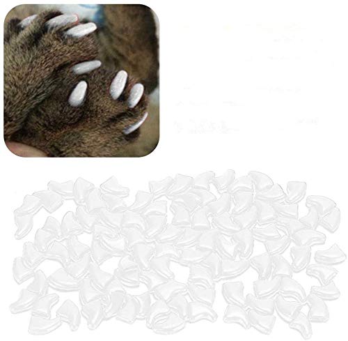 Atyhao Cat Nail Caps, Soft Anti Scratch Nail Covers for Cats with Glue, Claw Protector for Kittens and Adult Cats, White S Size for Indoor Play and Grooming