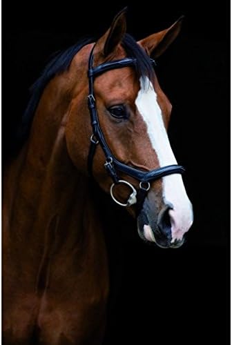 Rambo Micklem Deluxe Competition Bridle Pony Black