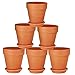 Terra Cotta Pots with Saucer- 6-Pack Large Terracotta Pot Clay Pots 5'' Clay Ceramic Pottery Planter Cactus Flower Pots Succulent Pot Drainage Hole- Great for Plants,Crafts,Wedding Favor (5 inches) primary
